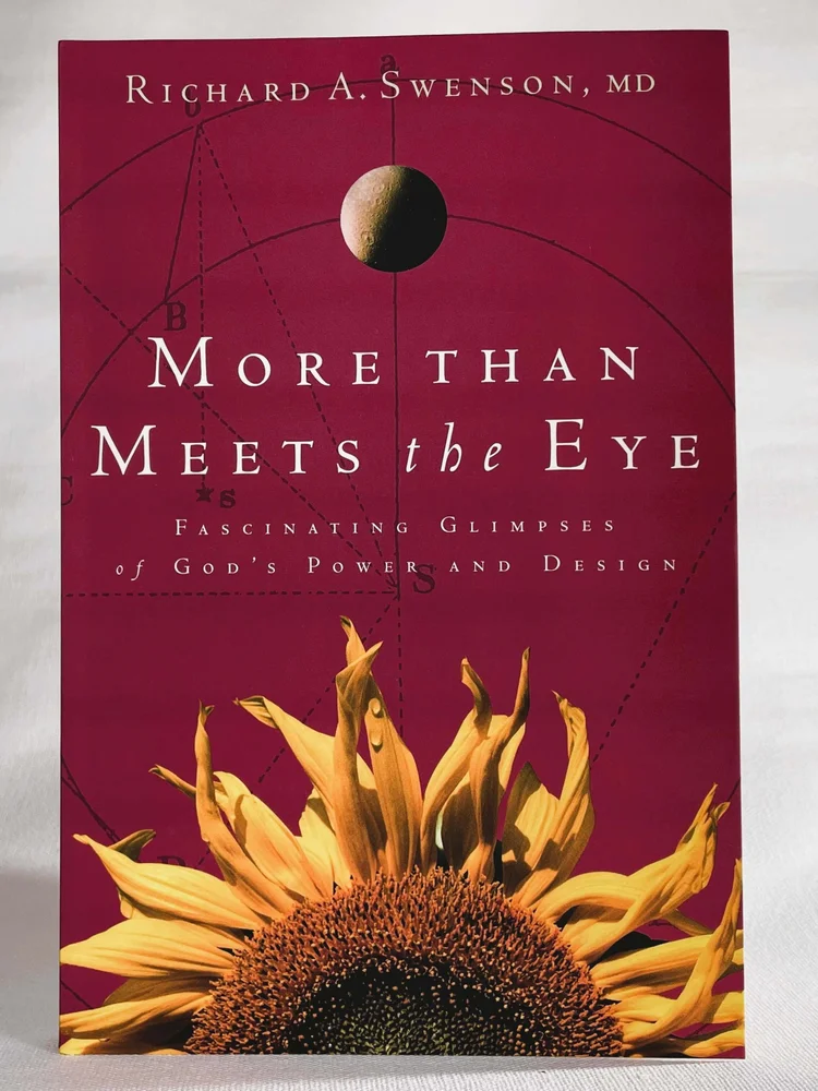 More Than Meets The Eye - Image 3