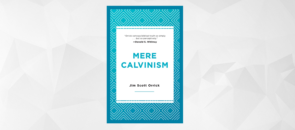 Mere Calvinism - Image 4