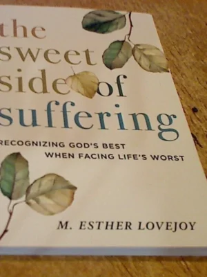 The Sweet Side of Suffering: Recognizing God's Best by M Esther Lovejoy