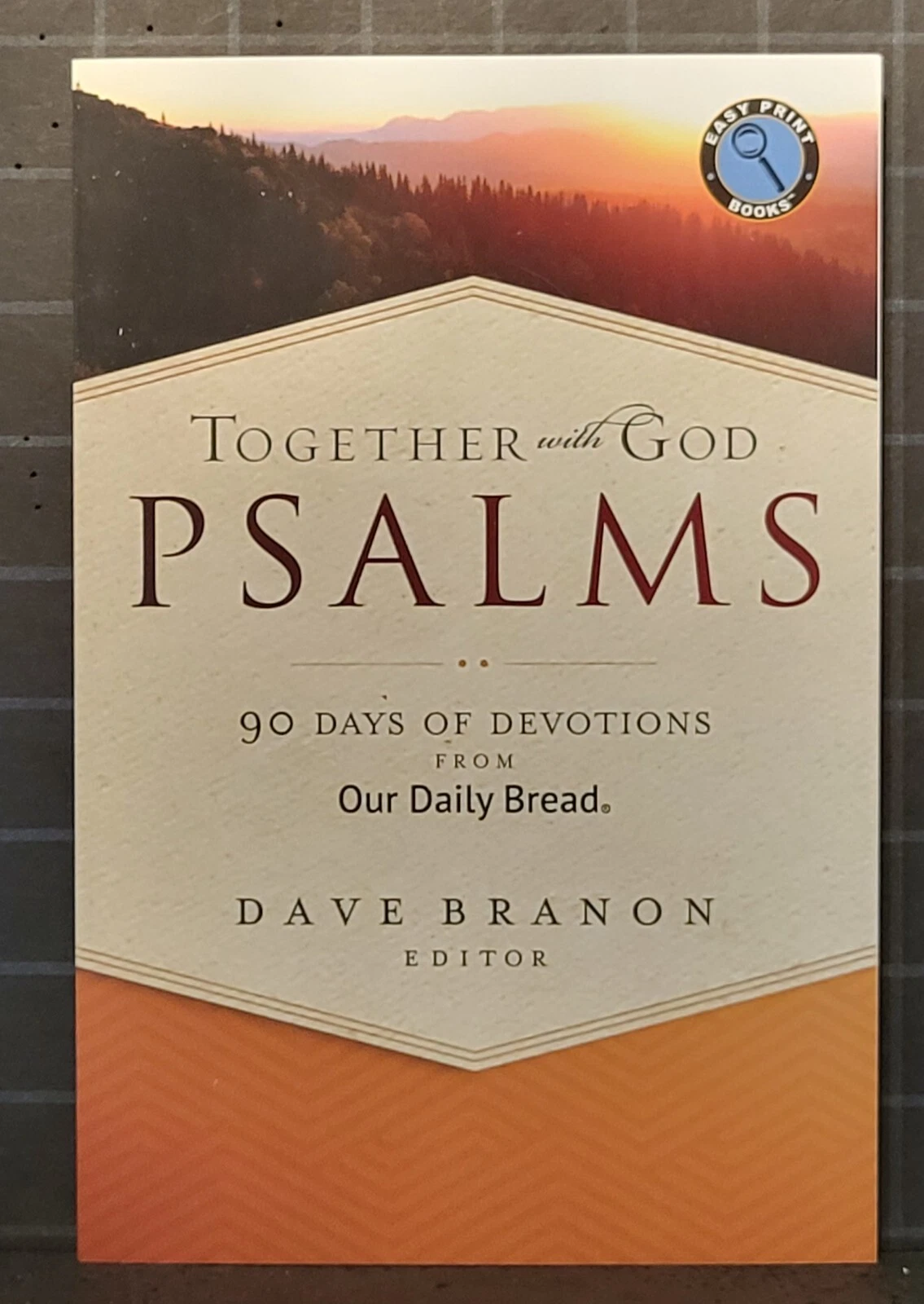 Together with God: Psalms : A Devotional Reading for Every Day of - Image 5