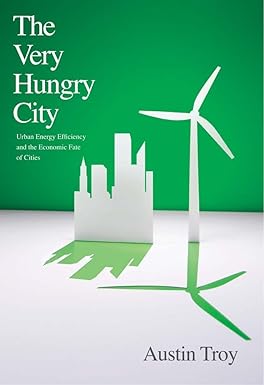 The Very Hungry City: Urban Energy Efficiency and the Economic Fate of Cities - Image 8