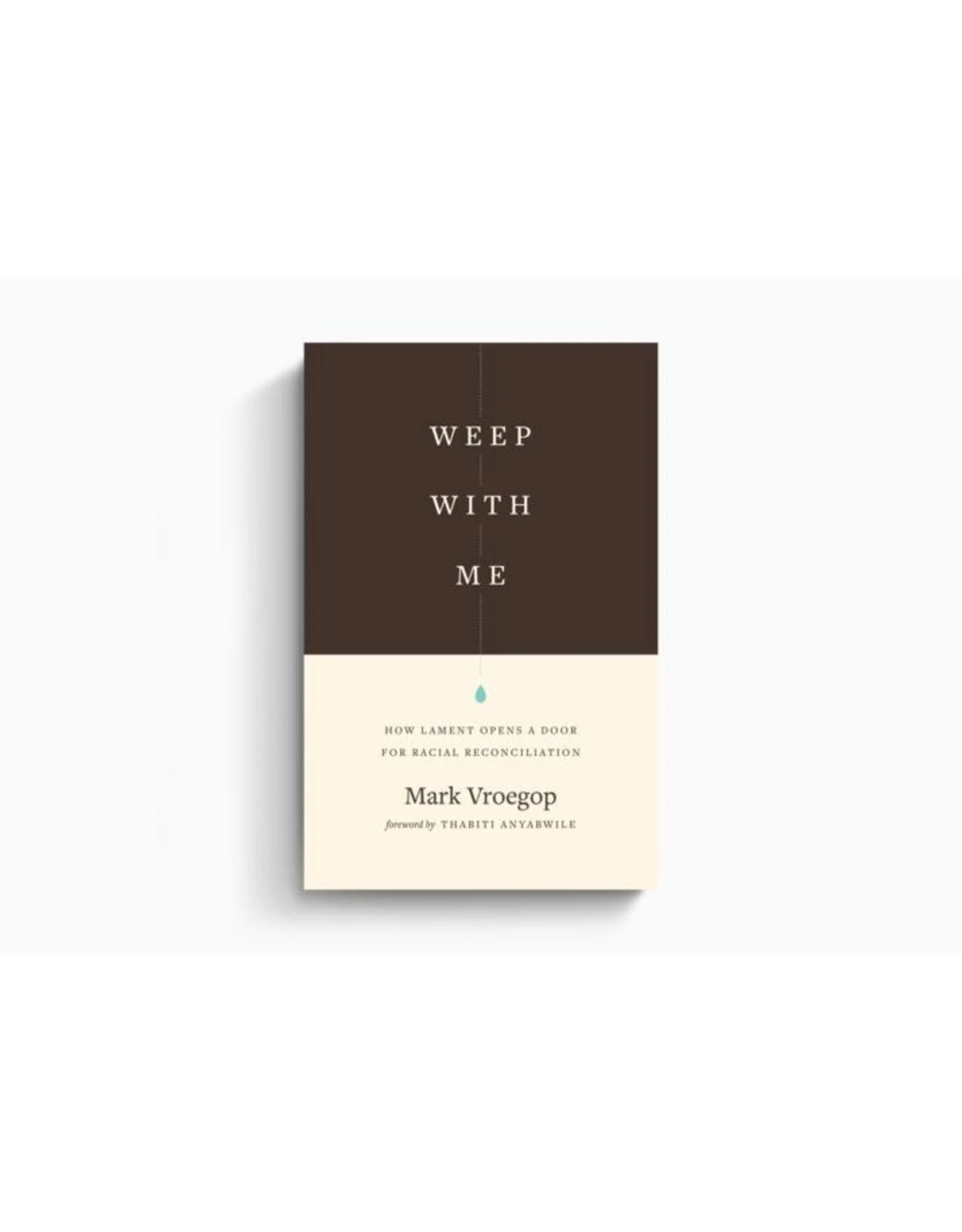 Weep with Me: How Lament Opens a Door for Racial Reconciliation - Image 4