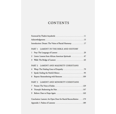 Weep with Me: How Lament Opens a Door for Racial Reconciliation - Image 6