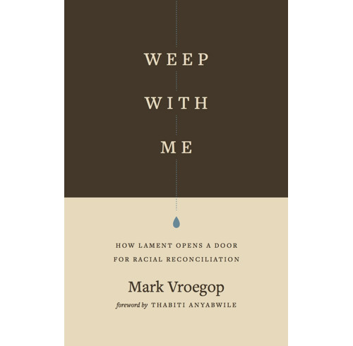 Weep with Me: How Lament Opens a Door for Racial Reconciliation - Image 8