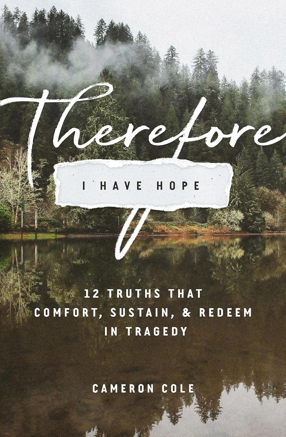 Therefore I Have Hope: 12 Truths That Comfort, Sustain, and Redeem in Tragedy - Image 7
