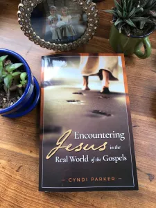 Encountering Jesus in the Real World of the Gospels - Image 3