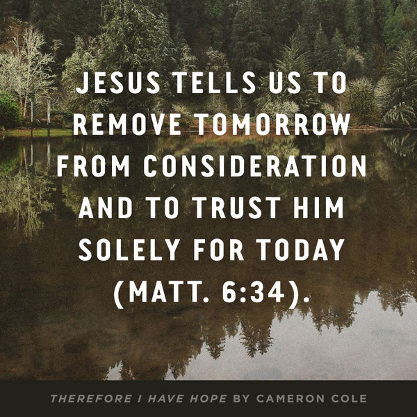 Therefore I Have Hope: 12 Truths That Comfort, Sustain, and Redeem in Tragedy - Image 8