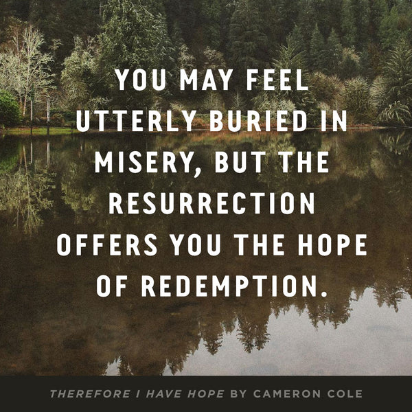 Therefore I Have Hope: 12 Truths That Comfort, Sustain, and Redeem in Tragedy - Image 9