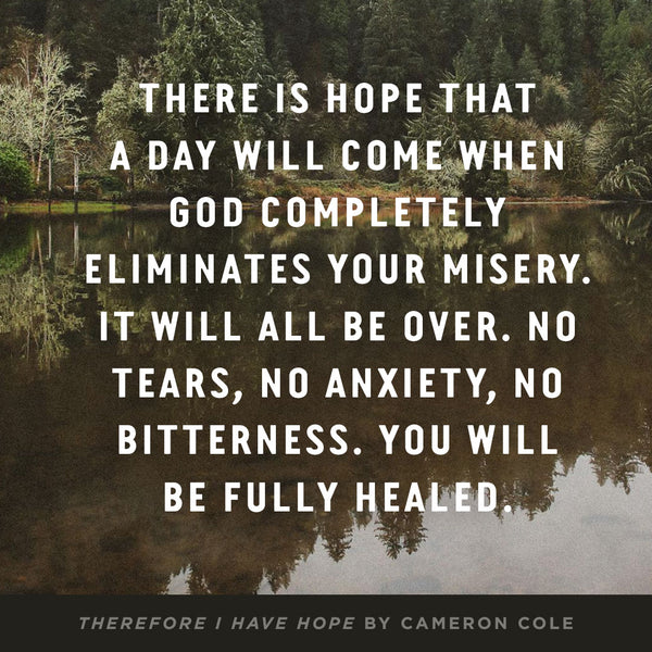 Therefore I Have Hope: 12 Truths That Comfort, Sustain, and Redeem in Tragedy - Image 11