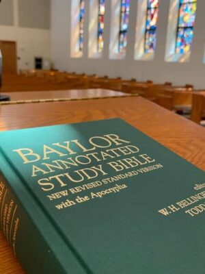 Baylor Annotated Study Bible by W H Bellinger: Used