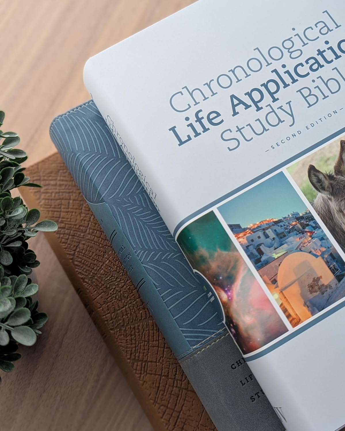 KJV Chronological Life Application Study Bible, Second Edition (Hardcover) by Tyndale (Creator) Format: Hardcoverrewf - Image 6