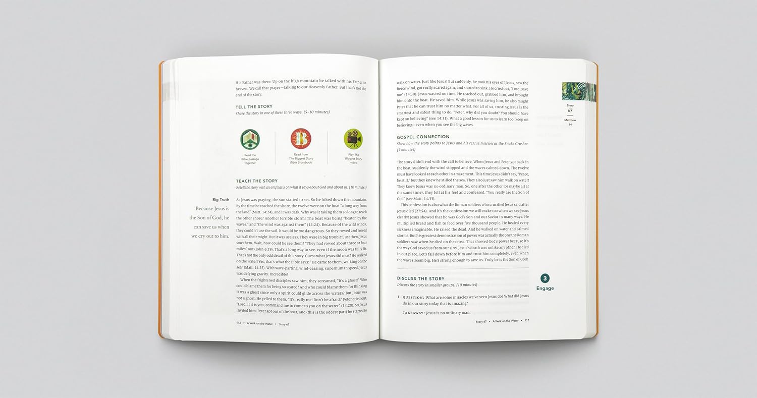 The Biggest Story Curriculum, Volume 2: History (Stories 21–36) (Volume Vol 2) - Image 7