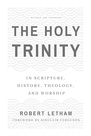 The Holy Trinity: In Scripture, History, Theology, and Worship by Robert W A (Author) - Image 4