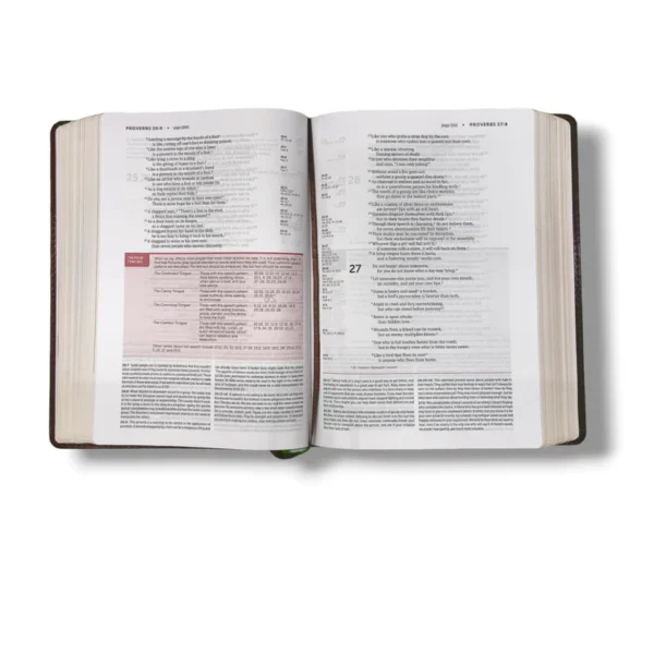 NIV Life Application Study Bible | New Edition | Third Edition Soft Leather-Look Brown Edition - Image 3
