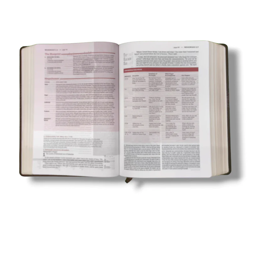 NIV Life Application Study Bible | New Edition | Third Edition Soft Leather-Look Brown Edition - Image 4