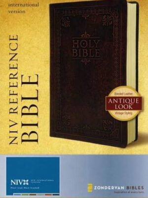 Holy Bible: New International Version, Brown, Bonded Leather, Antique