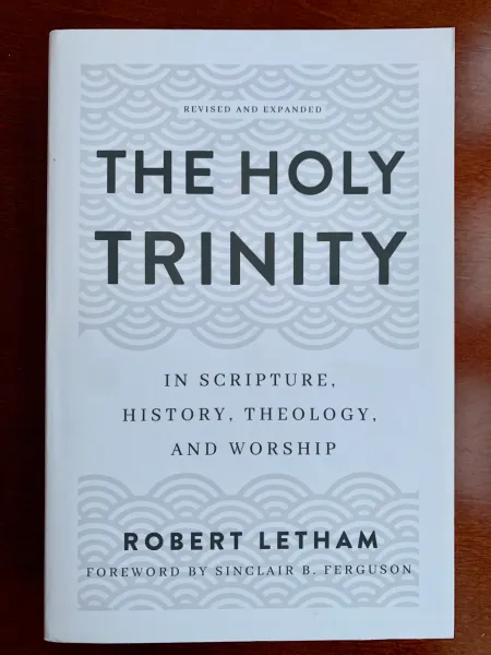 The Holy Trinity: In Scripture, History, Theology, and Worship by Robert W A (Author) - Image 3