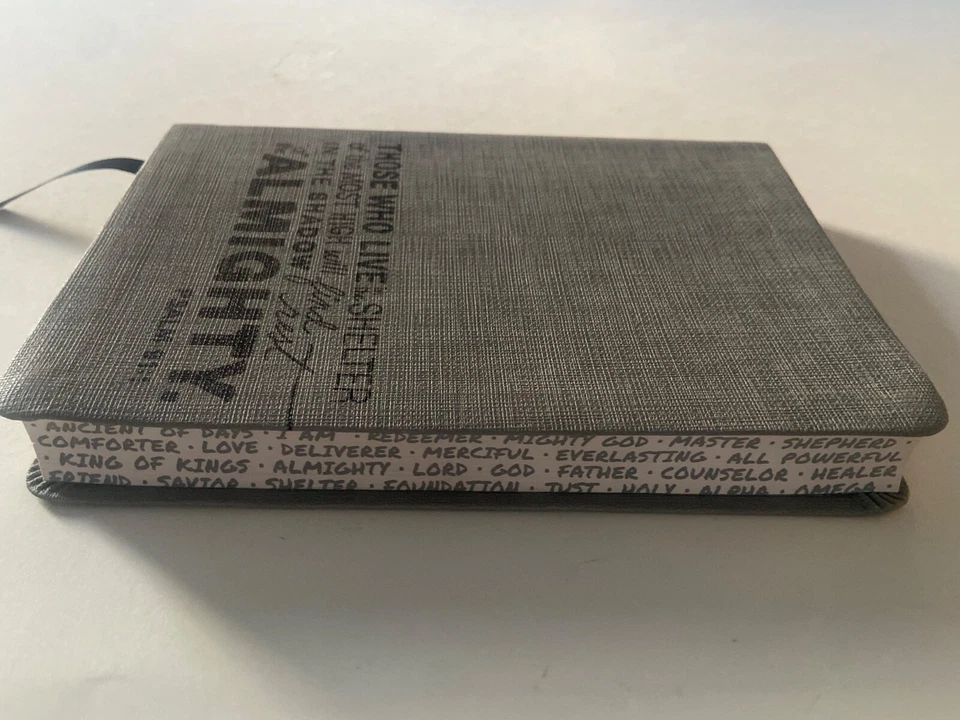 Holy Bible: New Living Translation, Psalm 91 Charcoal, Leatherlike, Teen Slimline - Image 4