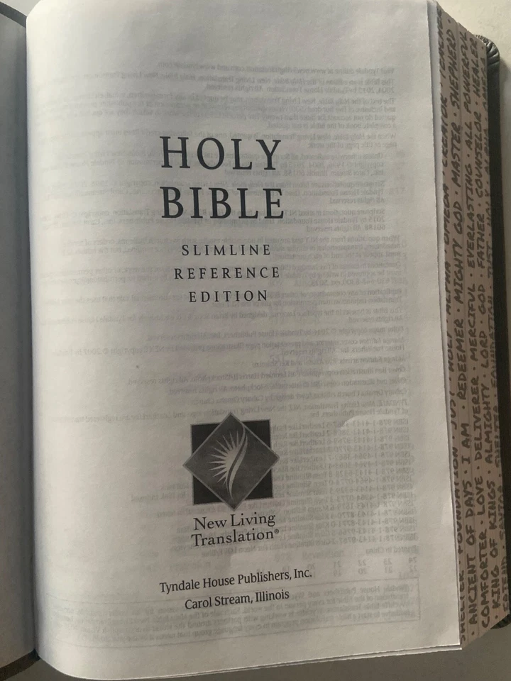 Holy Bible: New Living Translation, Psalm 91 Charcoal, Leatherlike, Teen Slimline - Image 20