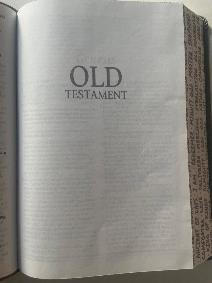 Holy Bible: New Living Translation, Psalm 91 Charcoal, Leatherlike, Teen Slimline - Image 9