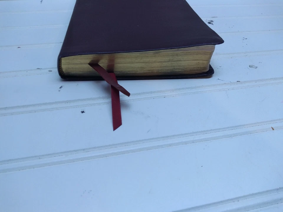 NIV Giant Print Thinline Reference Bible Burgundy Bonded Leather Zondervan EUC - Image 15